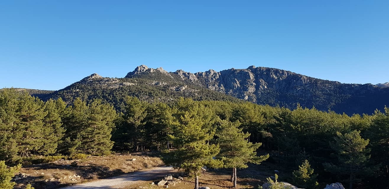 Pensamientos de enero: ¡subid!…