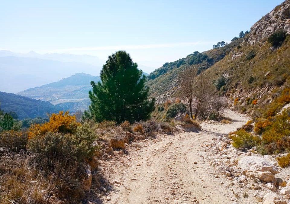 Pensamientos de febrero: soy estable, hijo del estable…