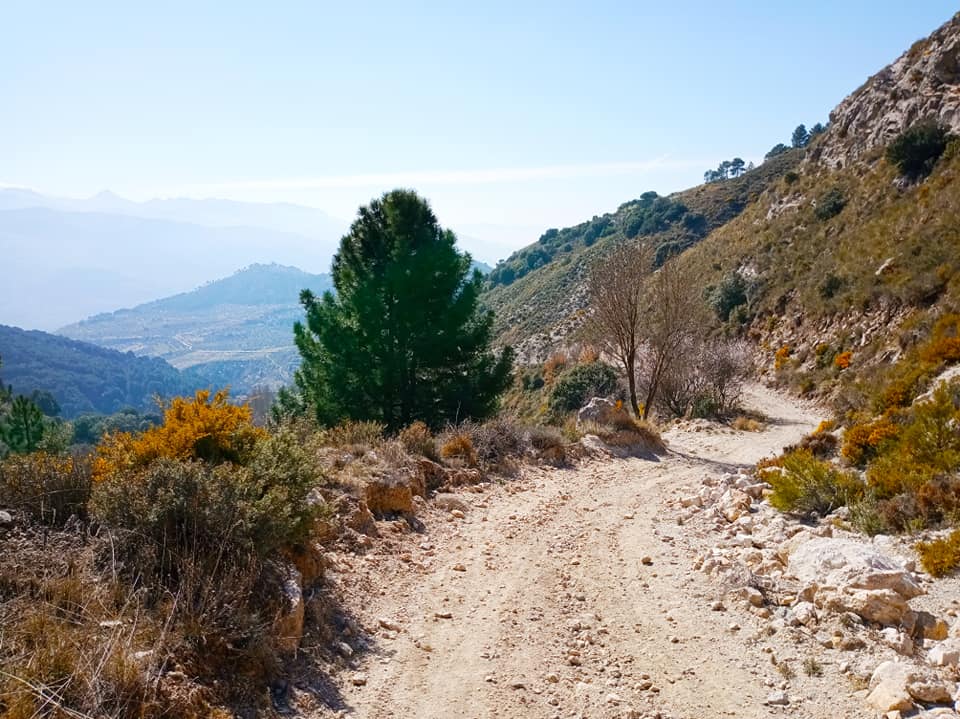 Pensamientos de febrero: soy estable, hijo del estable…