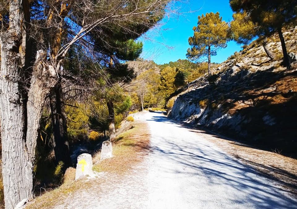 Pensamientos de febrero: un elemento de eternidad que ha entrado en nosotros…