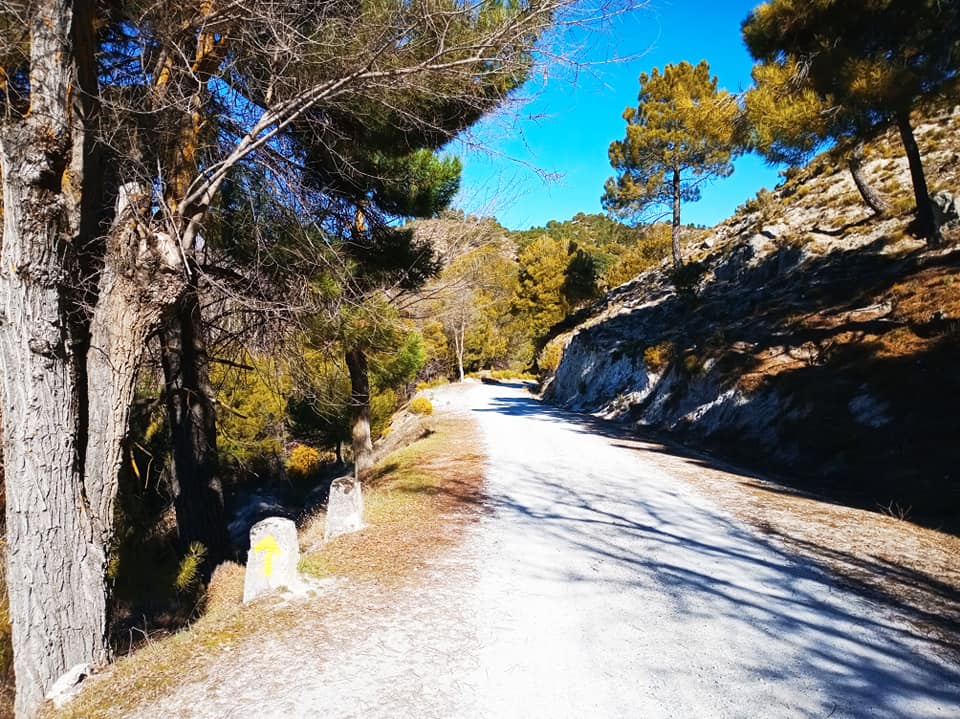 Pensamientos de febrero: un elemento de eternidad que ha entrado en nosotros…