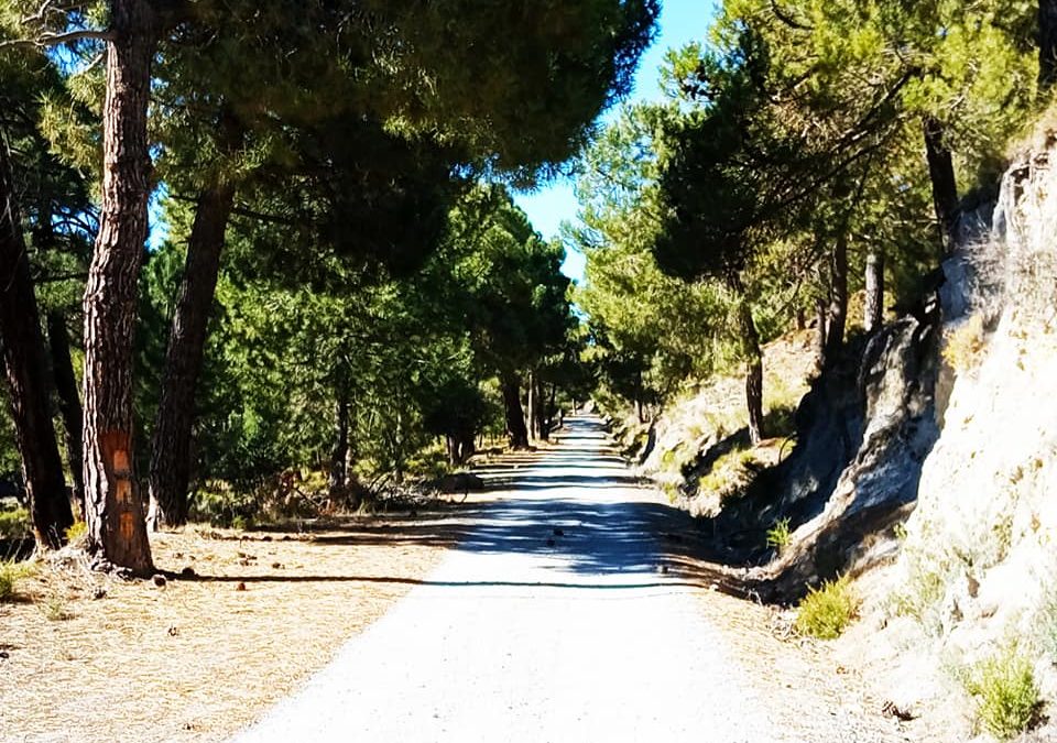 Pensamientos de febrero: nuestra cima