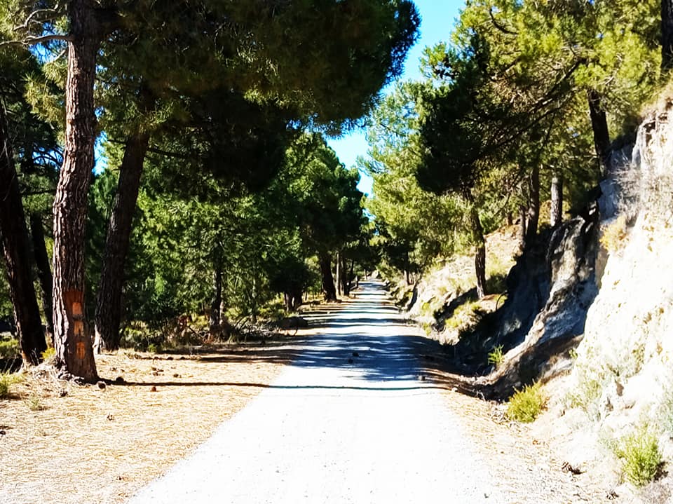 Pensamientos de febrero: nuestra cima