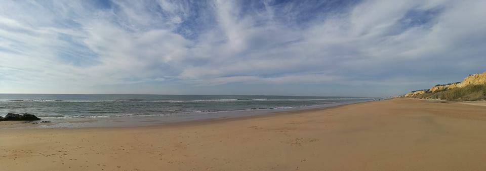 Pensamientos de febrero: elevaros hasta el plano causal…