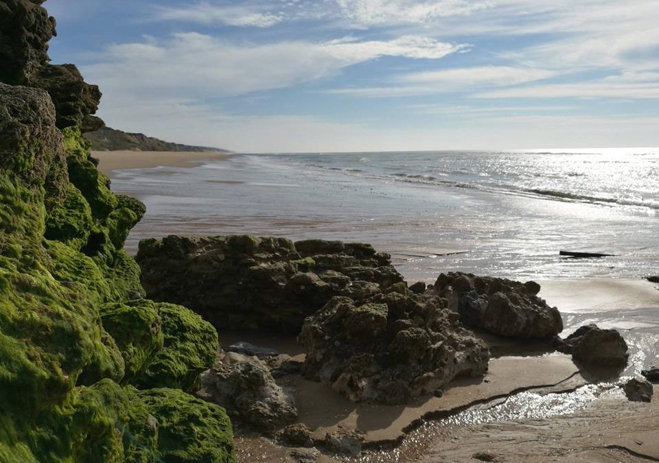 Pensamientos de febrero: introducir la pureza, el amor y la luz