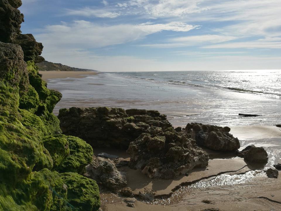 Pensamientos de febrero: introducir la pureza, el amor y la luz