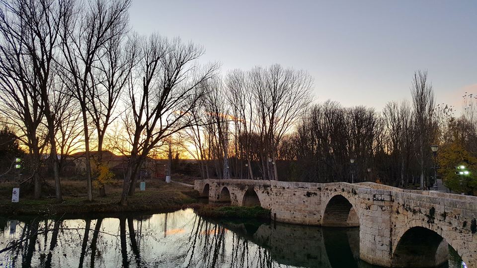 Pensamientos de febrero: crear la armonía…