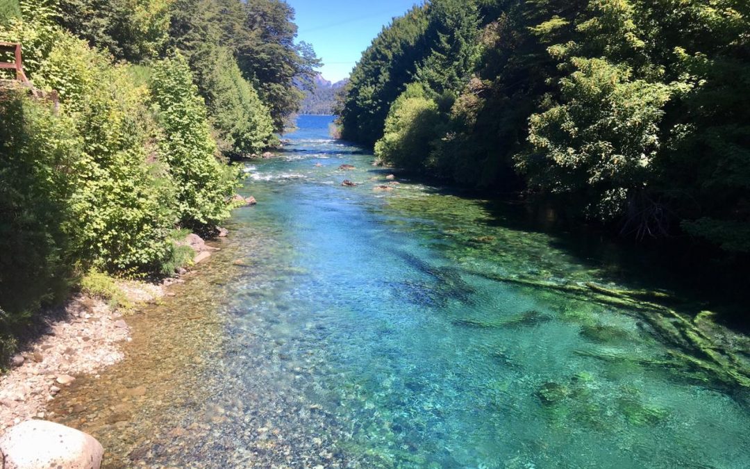 Pensamientos de febrero: la voz renueva sus consejos…