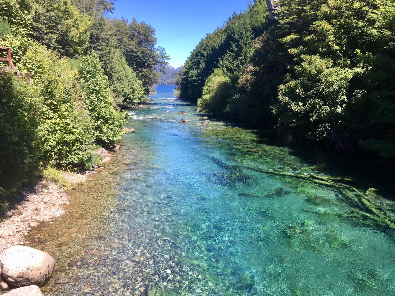 Pensamientos de febrero: la voz renueva sus consejos…