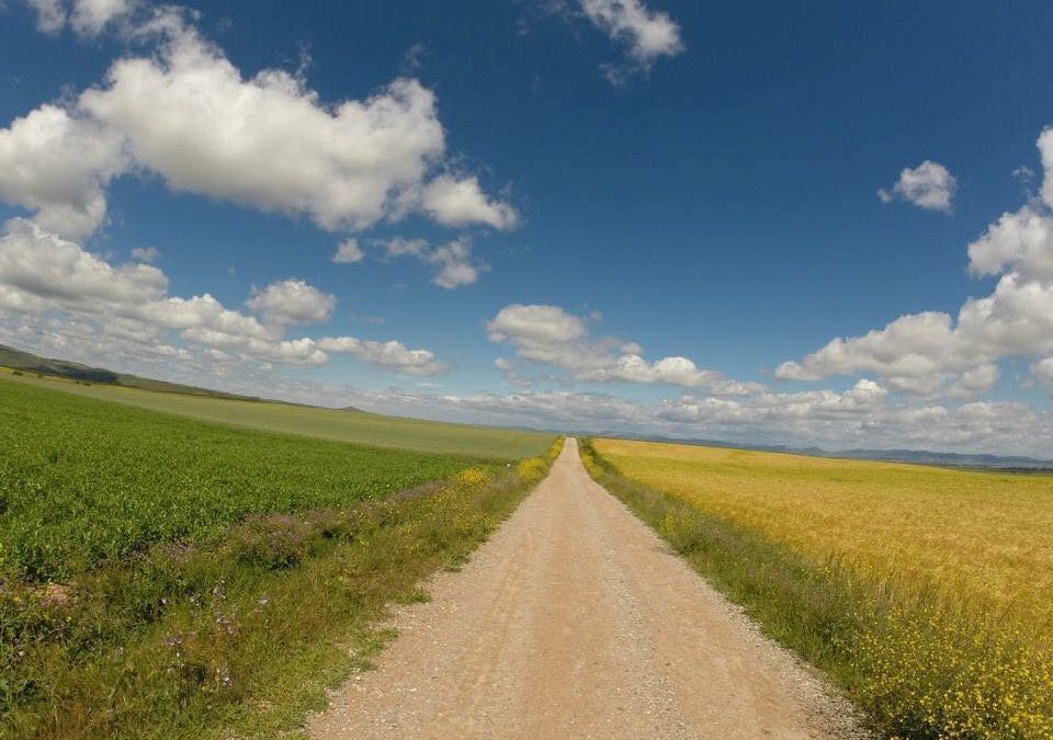 Pensamientos de marzo: como un río de luz que viene de las alturas e invade vuestro ser