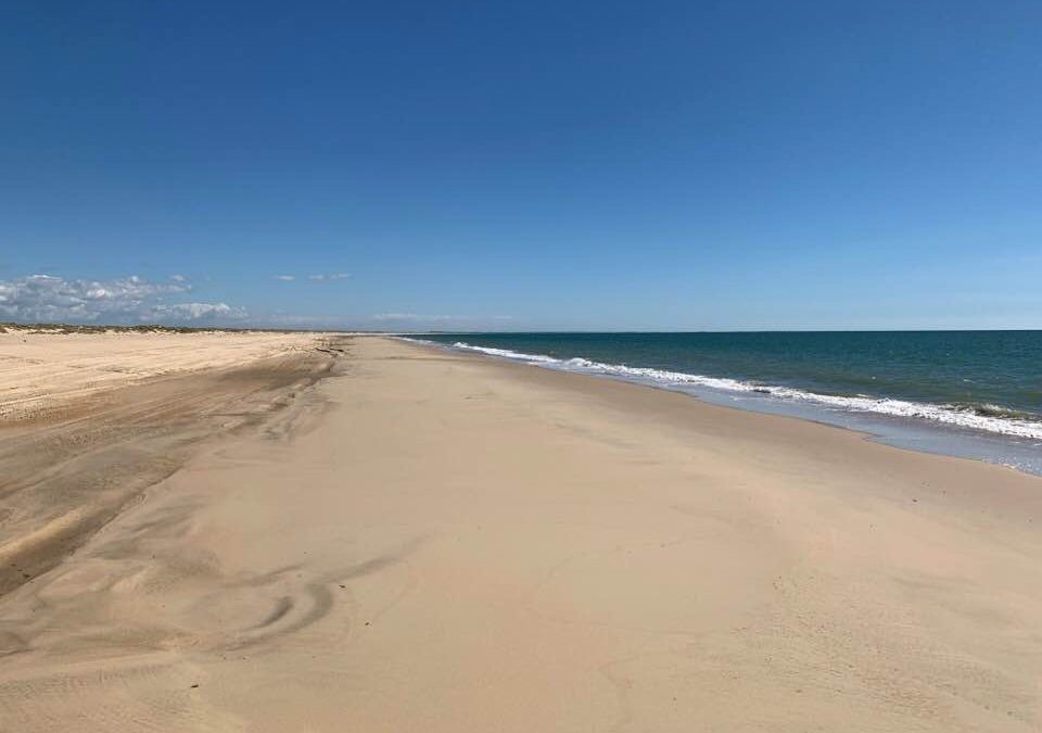 Pensamientos de marzo: ¡dadme vuestra luz!