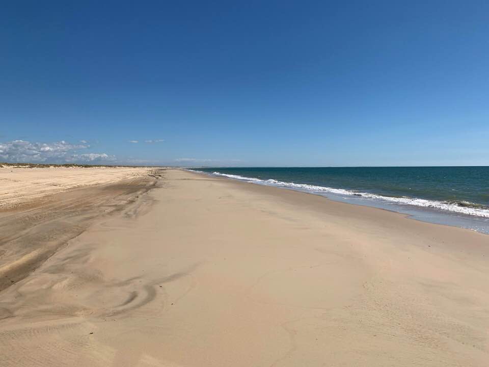 Pensamientos de marzo: ¡dadme vuestra luz!