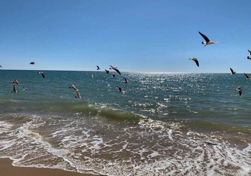 Pensamientos de marzo: experimento una influencia vivificante…