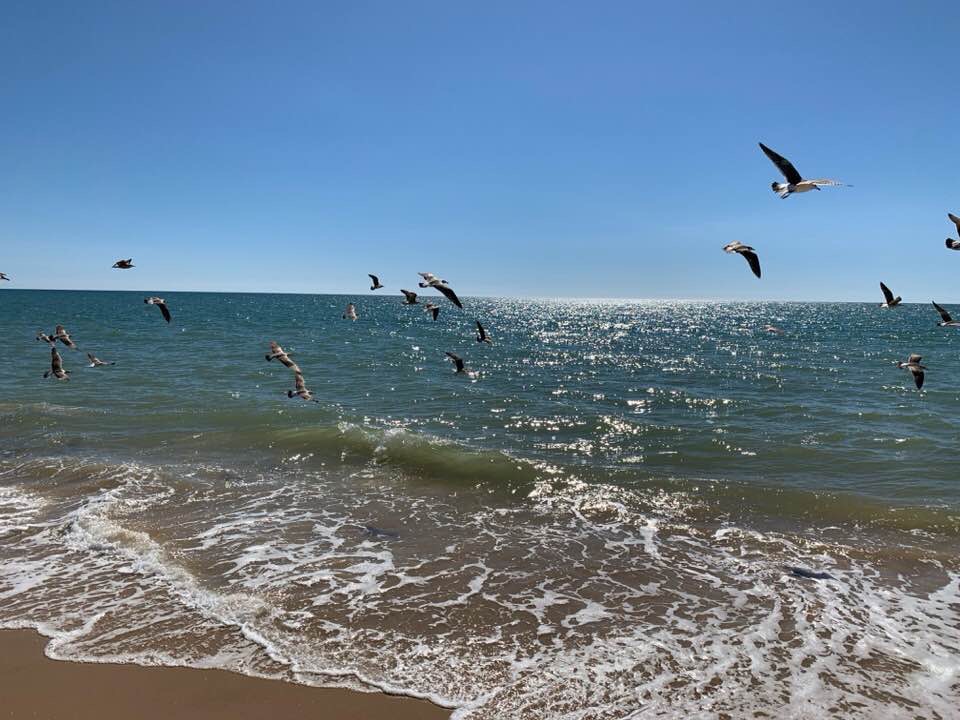 Pensamientos de marzo: experimento una influencia vivificante…