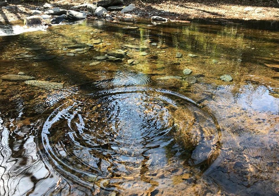 Pensamientos de marzo: conquistar la libertad