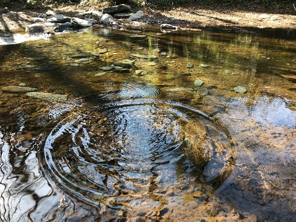 Pensamientos de marzo: conquistar la libertad