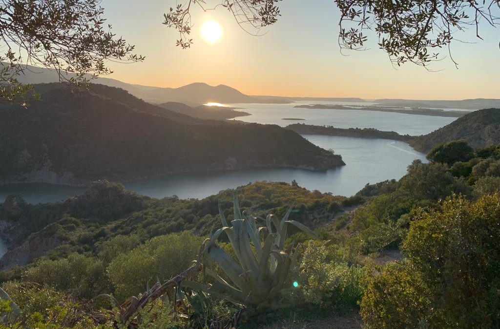 Pensamientos de marzo: cuanto más se eleva un ser, más se libera