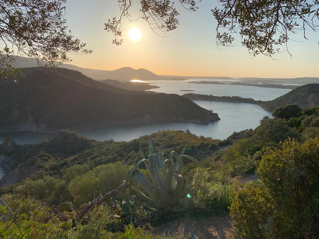 Pensamientos de marzo: cuanto más se eleva un ser, más se libera