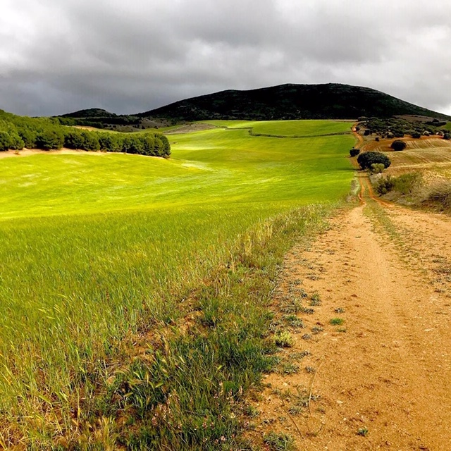 Pensamientos de abril: que los mil fuegos… iluminen todo vuestro ser