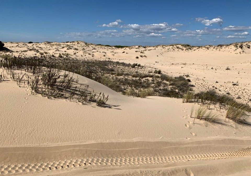 Pensamientos de abril: os volveréis más y más vivos…