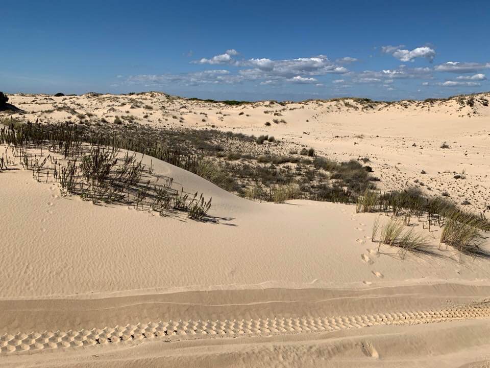 Pensamientos de abril: os volveréis más y más vivos…