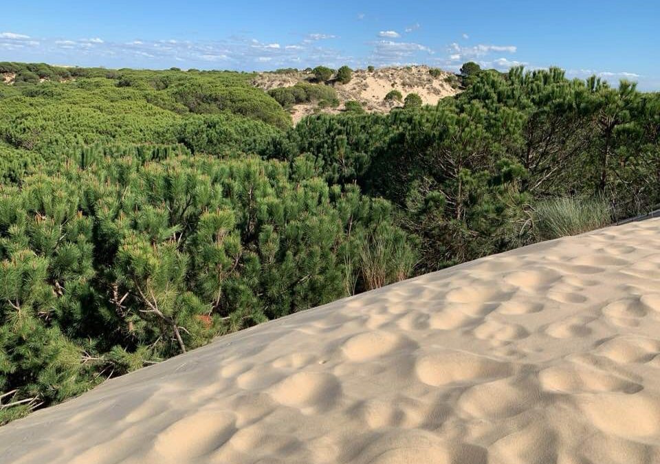 Pensamientos de abril: contempláis la verdad…