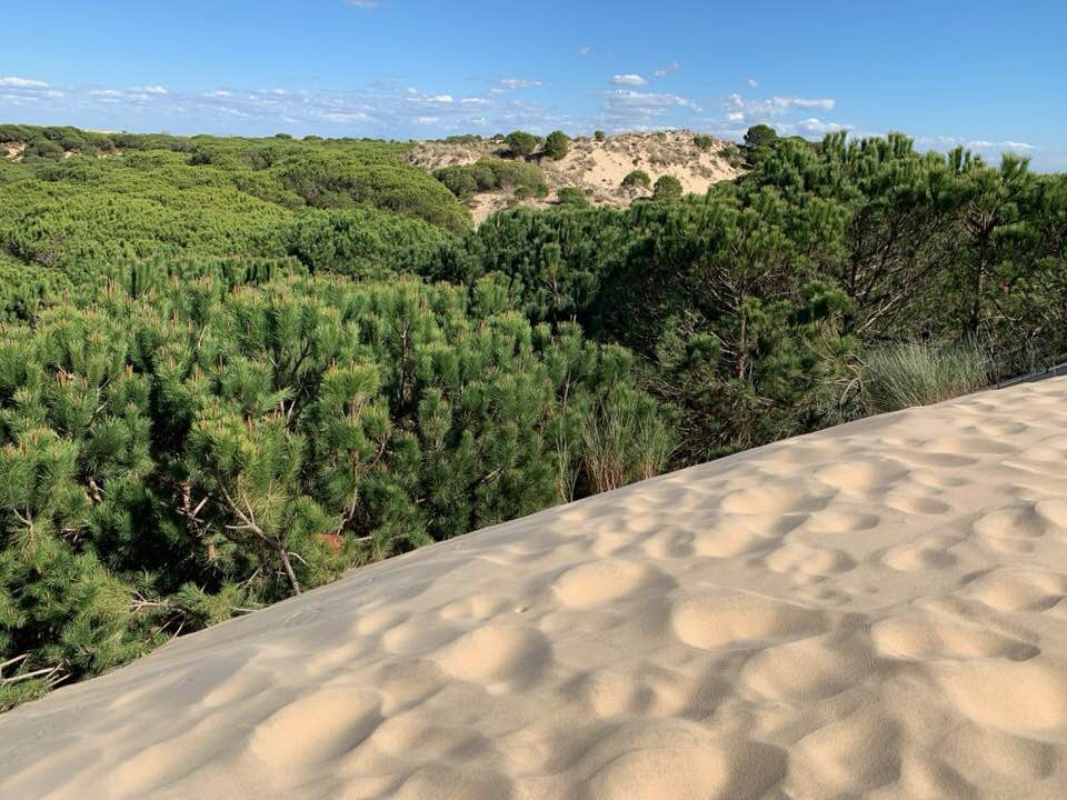 Pensamientos de abril: contempláis la verdad…