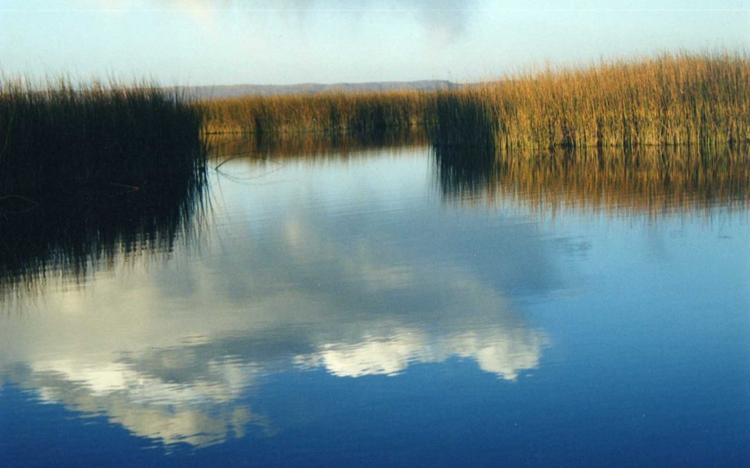 Pensamientos de abril: mantened la llama
