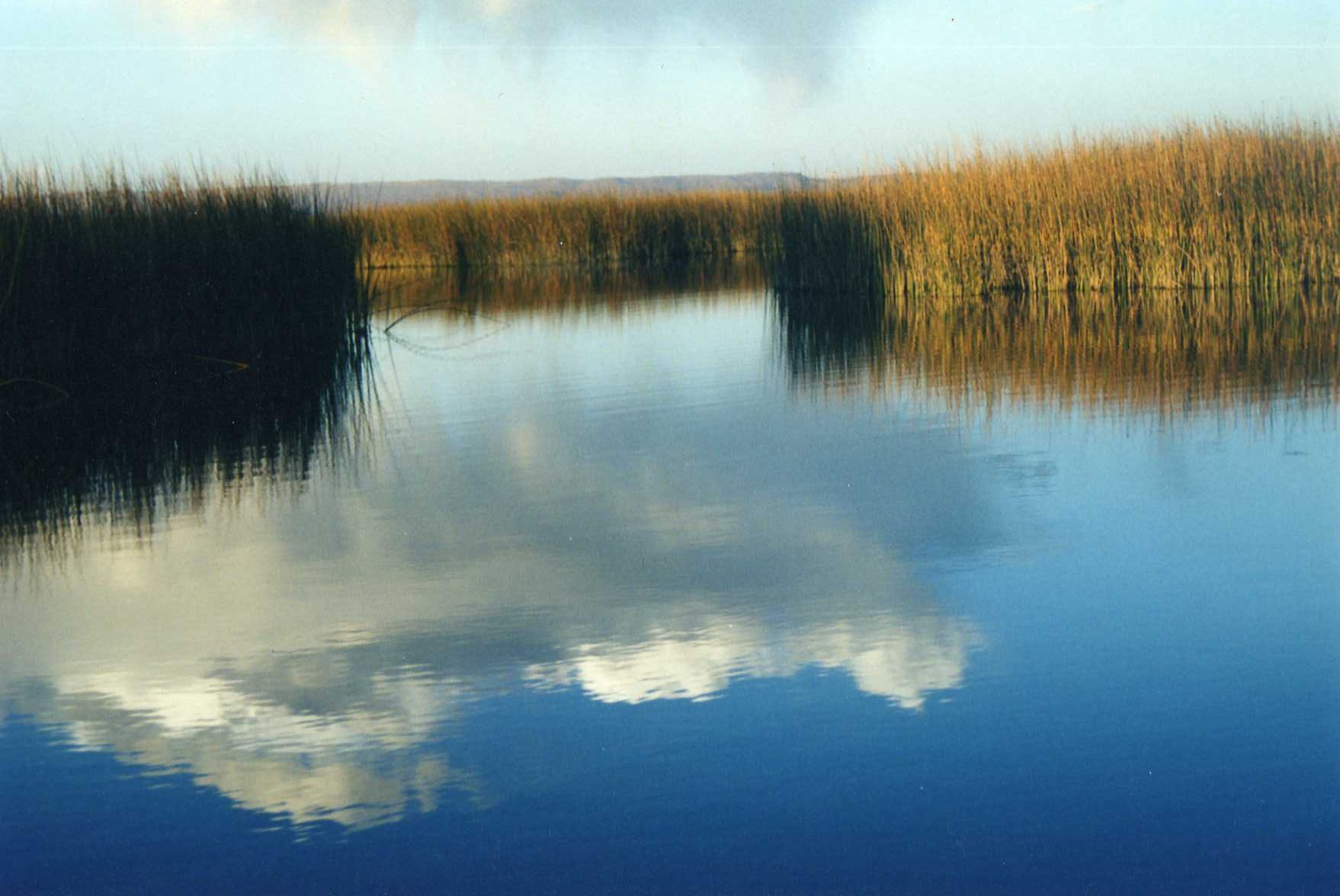 Pensamientos de abril: mantened la llama