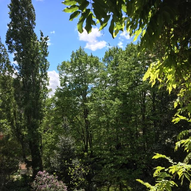 Pensamientos de abril: si ponemos en el centro de nuestra vida una idea muy elevada…