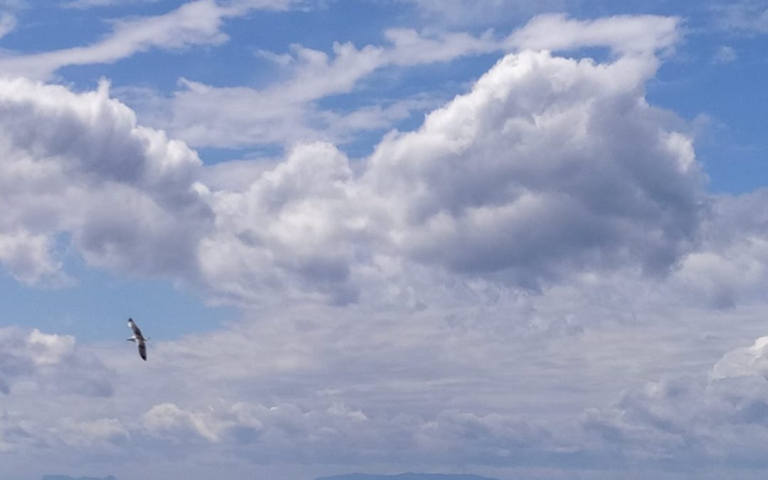 Pensamientos de abril: la importancia del comienzo