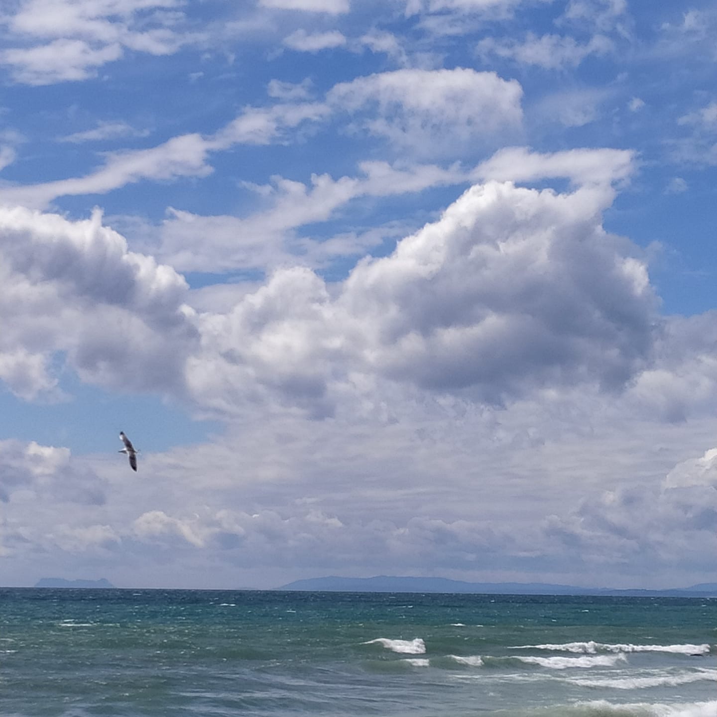 Pensamientos de abril: la importancia del comienzo