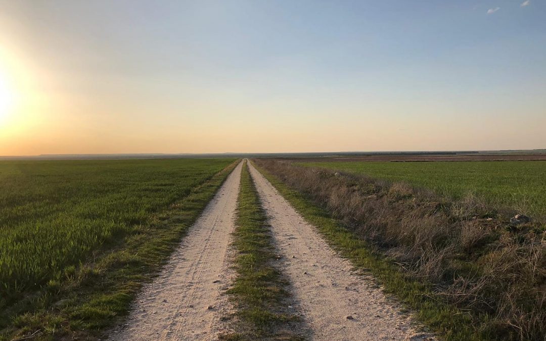 Pensamientos de mayo: ya nada se interpondrá entre nosotros y el sol divino…