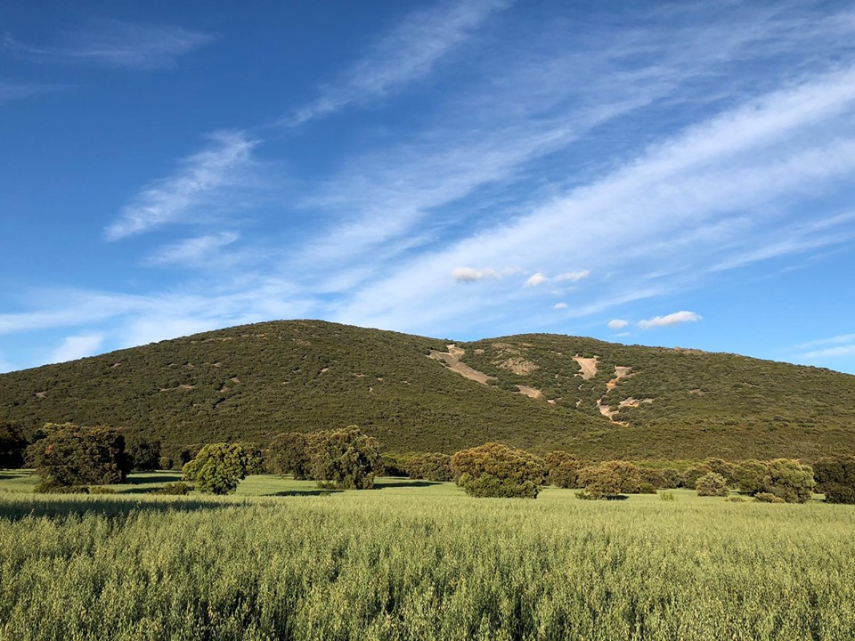 Pensamientos de mayo: el Cielo nos habla