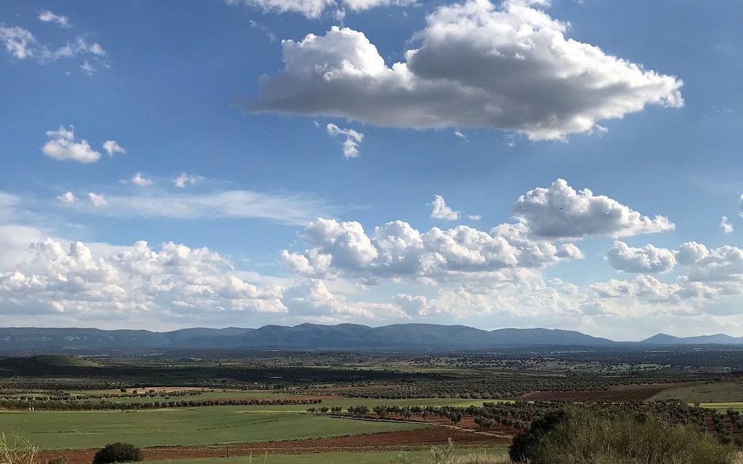 Pensamientos de mayo: perseverad…