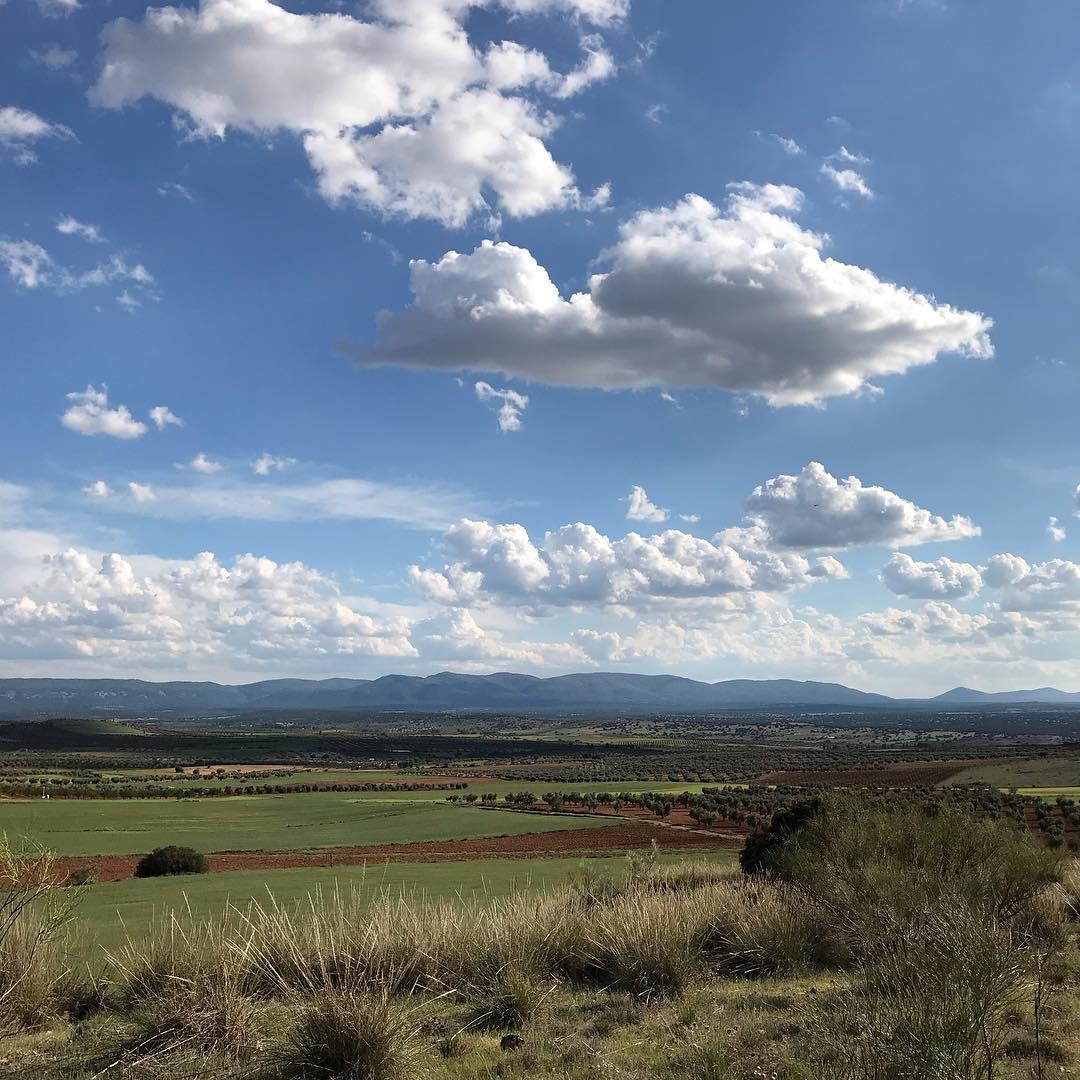 Pensamientos de mayo: perseverad…