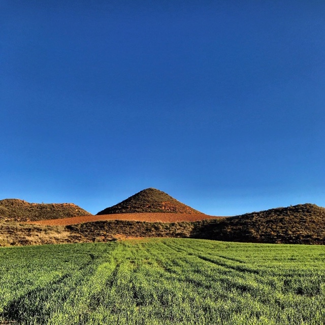 Pensamientos de mayo: cómo liberar el espíritu en nosotros…