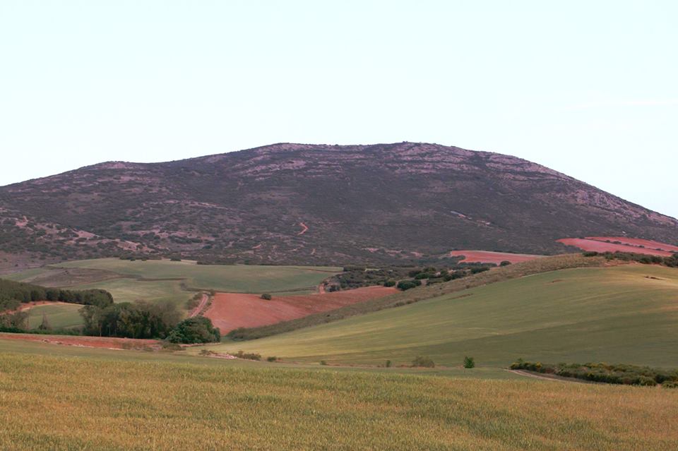 Pensamientos de mayo: volveos a levantar..