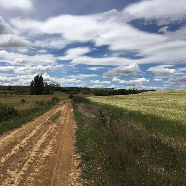 Pensamientos de mayo: una nueva vida crece en nosotros