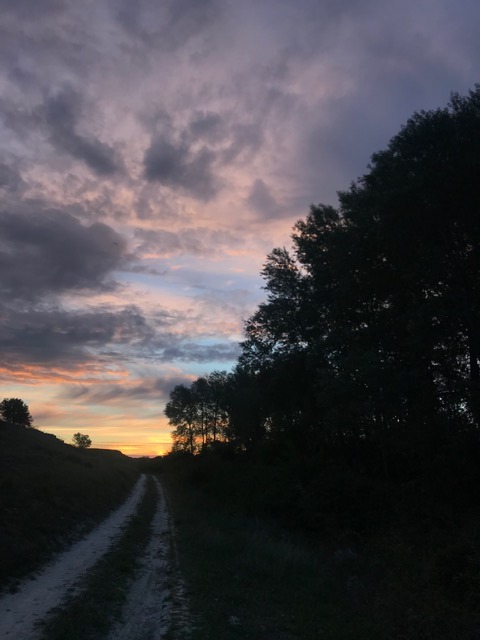 Pensamientos de junio: algunas pepitas de oro dentro de vosotros…