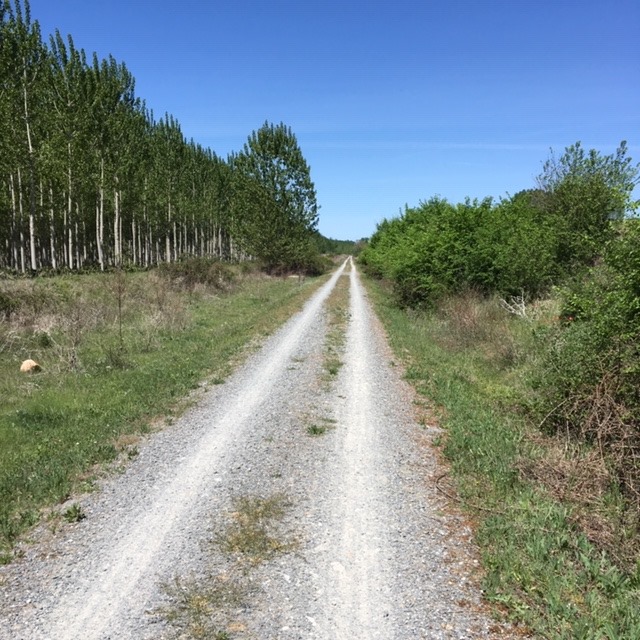 Pensamientos de junio: conciencia de unidad