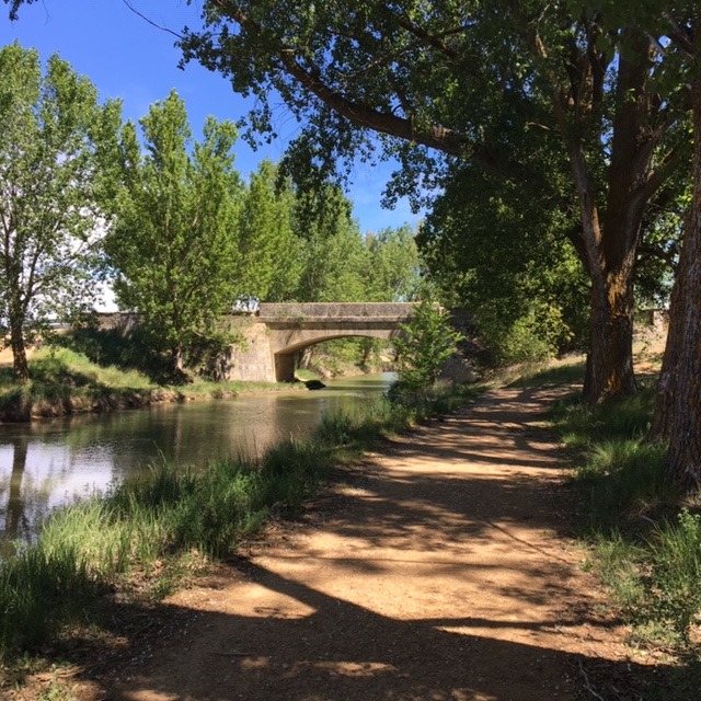 Pensamientos de junio: participar en el trabajo divino