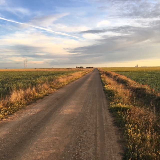 Pensamientos de junio: concentrarse en la luz