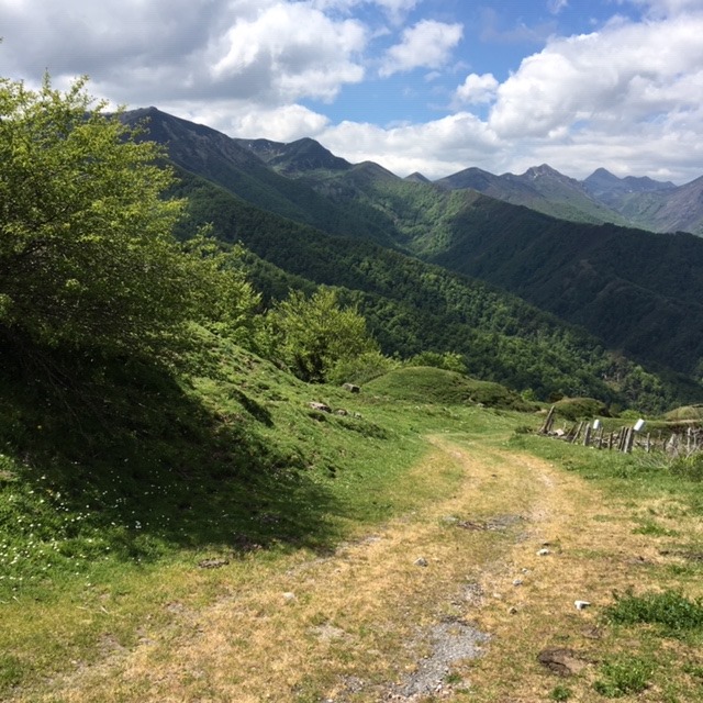 Pensamientos de junio: hacia la visión clara