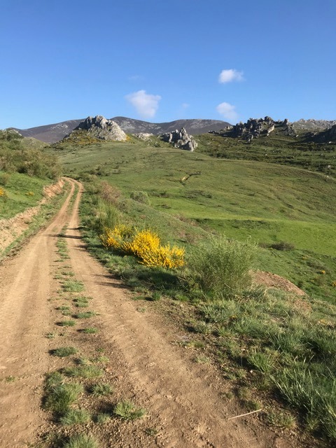 Pensamientos de junio: mantenernos vivos