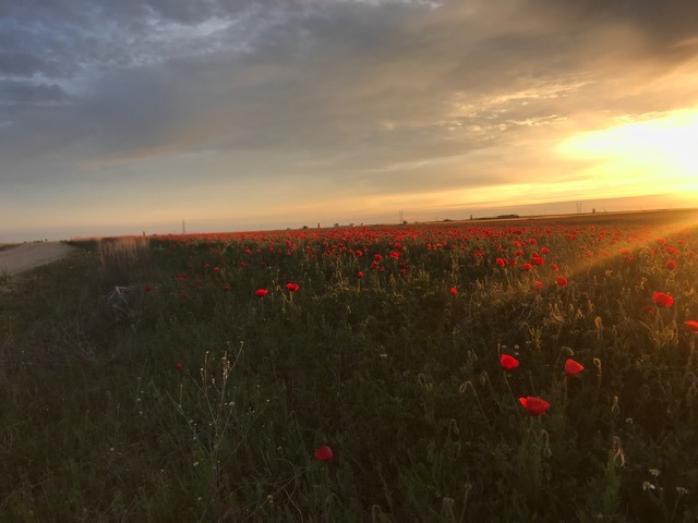 Pensamientos de julio: decid a todas estas entidades que les estáis agradecidos