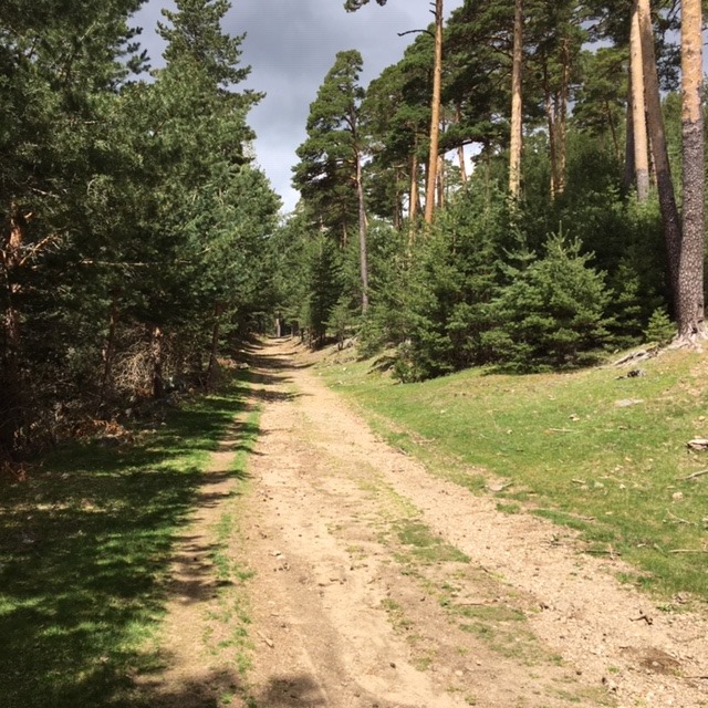 Pensamientos de julio: os sentiréis proyectados hacia las regiones más y más vastas y luminosas