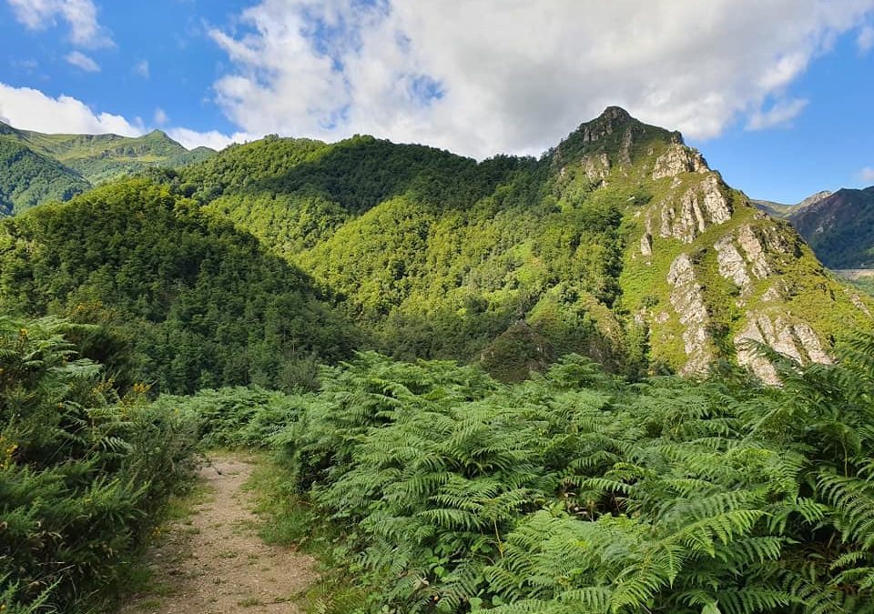 Pensamientos de agosto: vuestro verdadero Yo está por encima de todas las vicisitudes de la vida