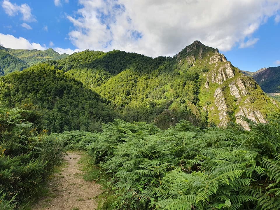 Pensamientos de agosto: vuestro verdadero Yo está por encima de todas las vicisitudes de la vida