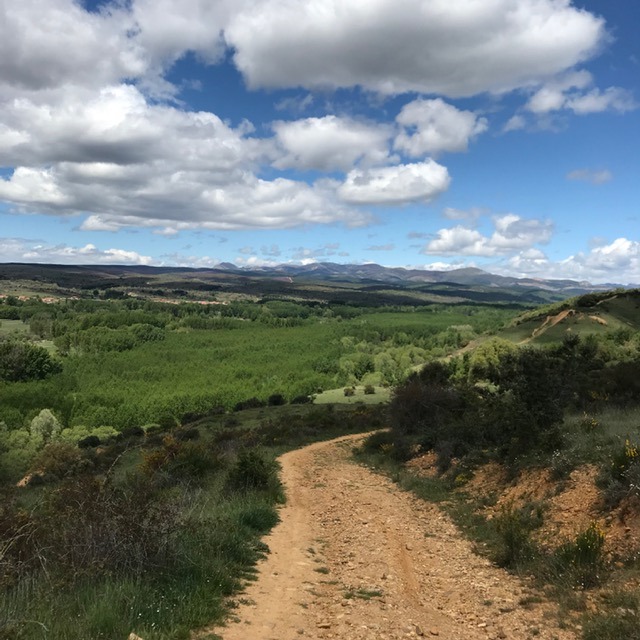 Pensamientos de julio: buscar en el mundo divino las luces y las riquezas